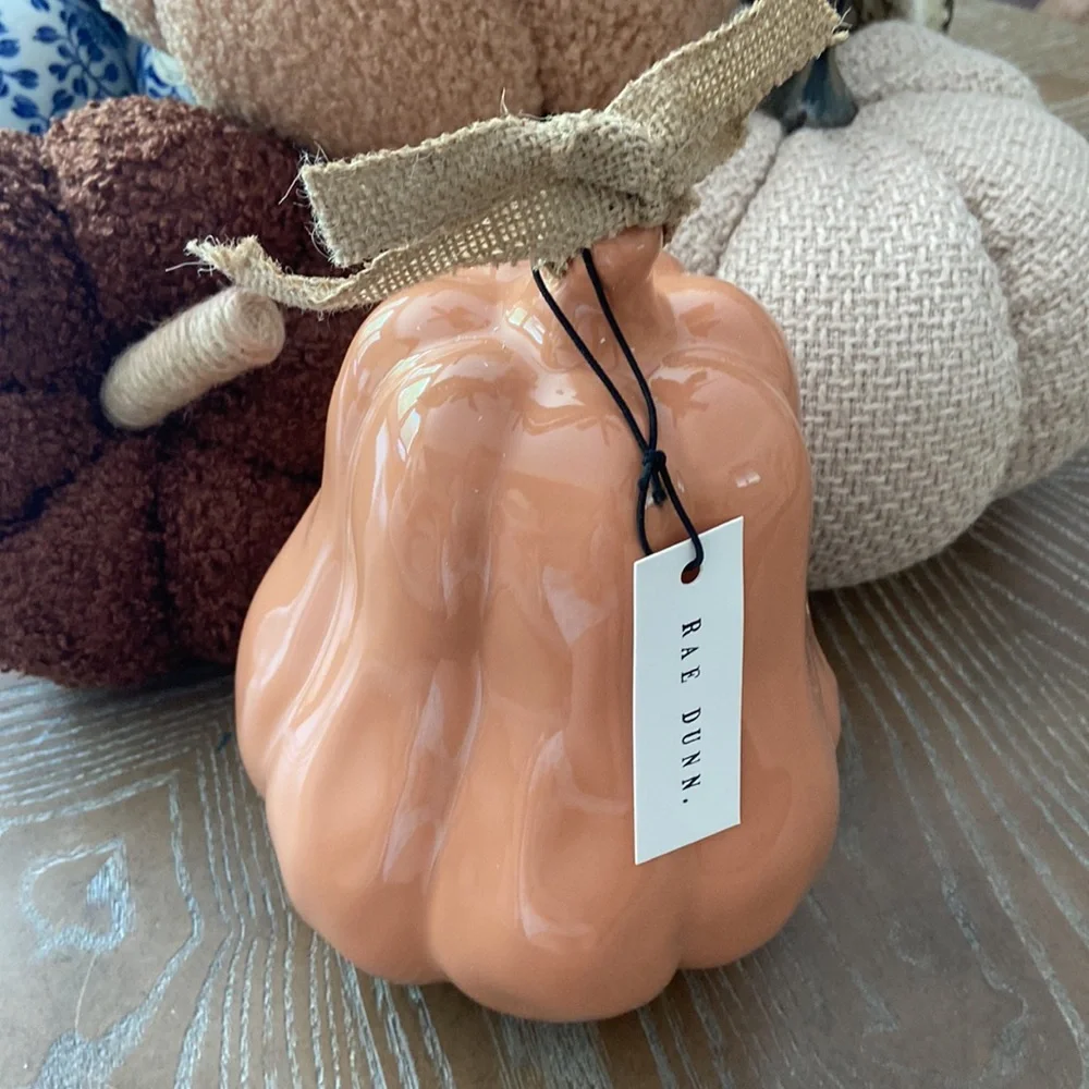 NEW! Rae Dunn Ceramic Farmhouse Harvest Gourd Pumpkin Birdhouse